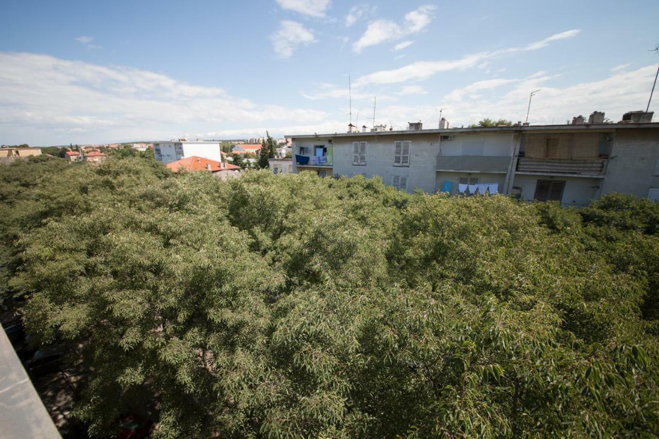 Apartman Bordura Zadar Eksteriør billede